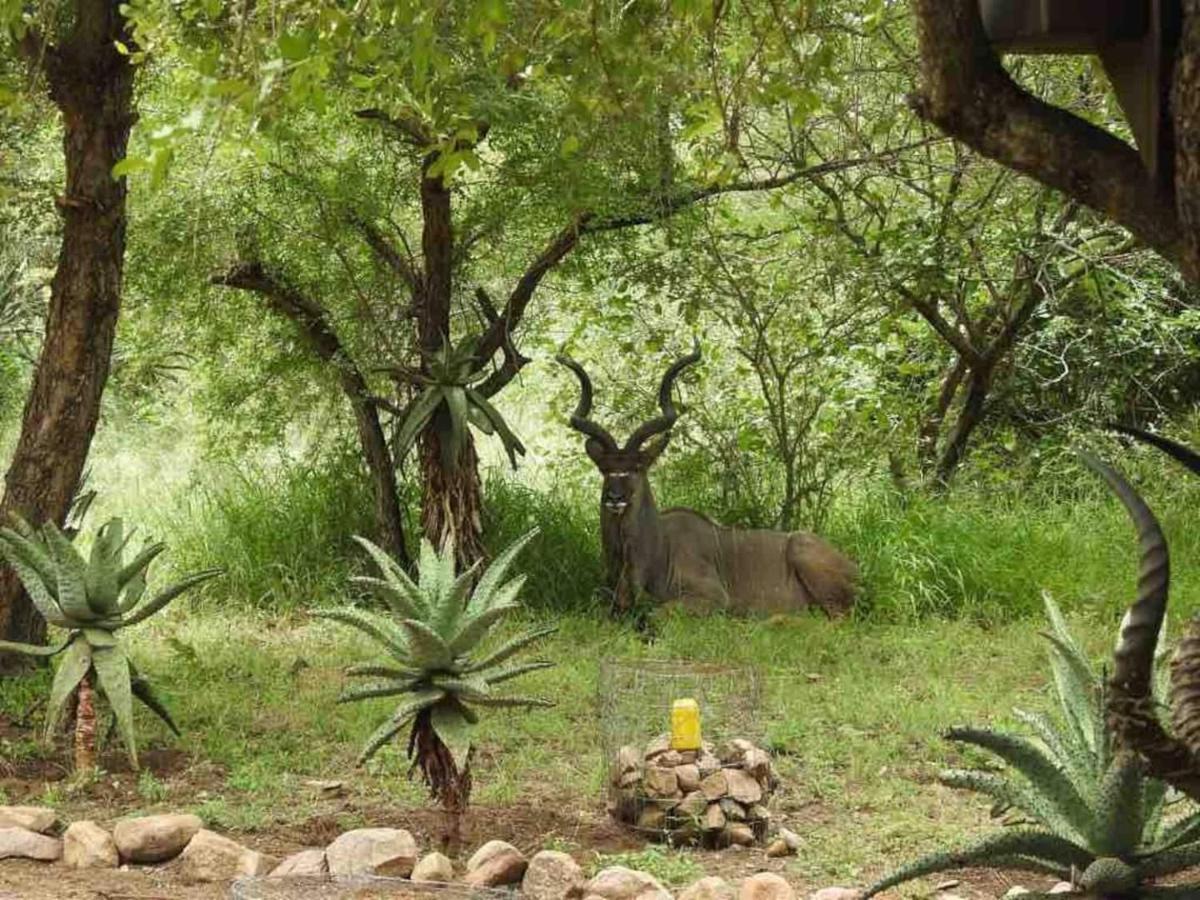 Lituba Place Marloth Park Zewnętrze zdjęcie