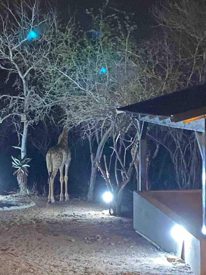 Lituba Place Marloth Park Zewnętrze zdjęcie